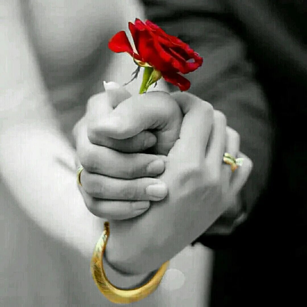Цветок на руку.. Мужская рука с цветами. Букет цветов в руках мужчины. Рука дарит цветы. Проявить небольшой