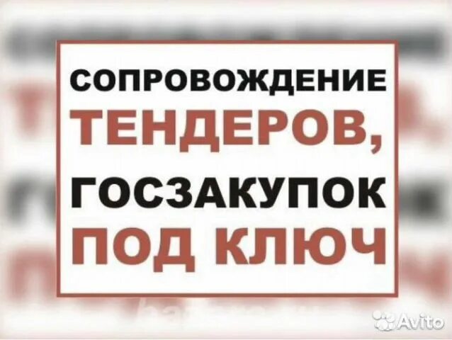 Университет синергия новосибирск. Тендерное сопровождение. Тендерное сопровождение фото. Сопровождение закупок киров. Тендерное сопровождение под ключ картинки.
