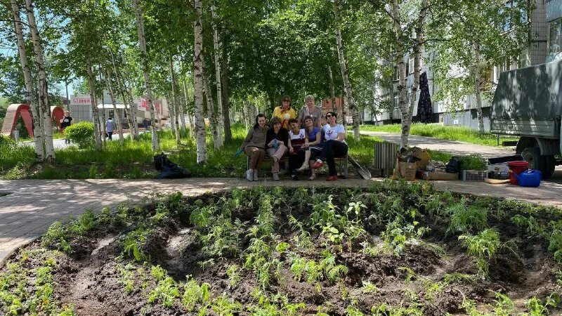 Красноярская черемушка. Детский сад черемушка северодвинск торцева. Сергей есенин сыплет черемуха. Во дворе черемушка. Есенинская черемуха.