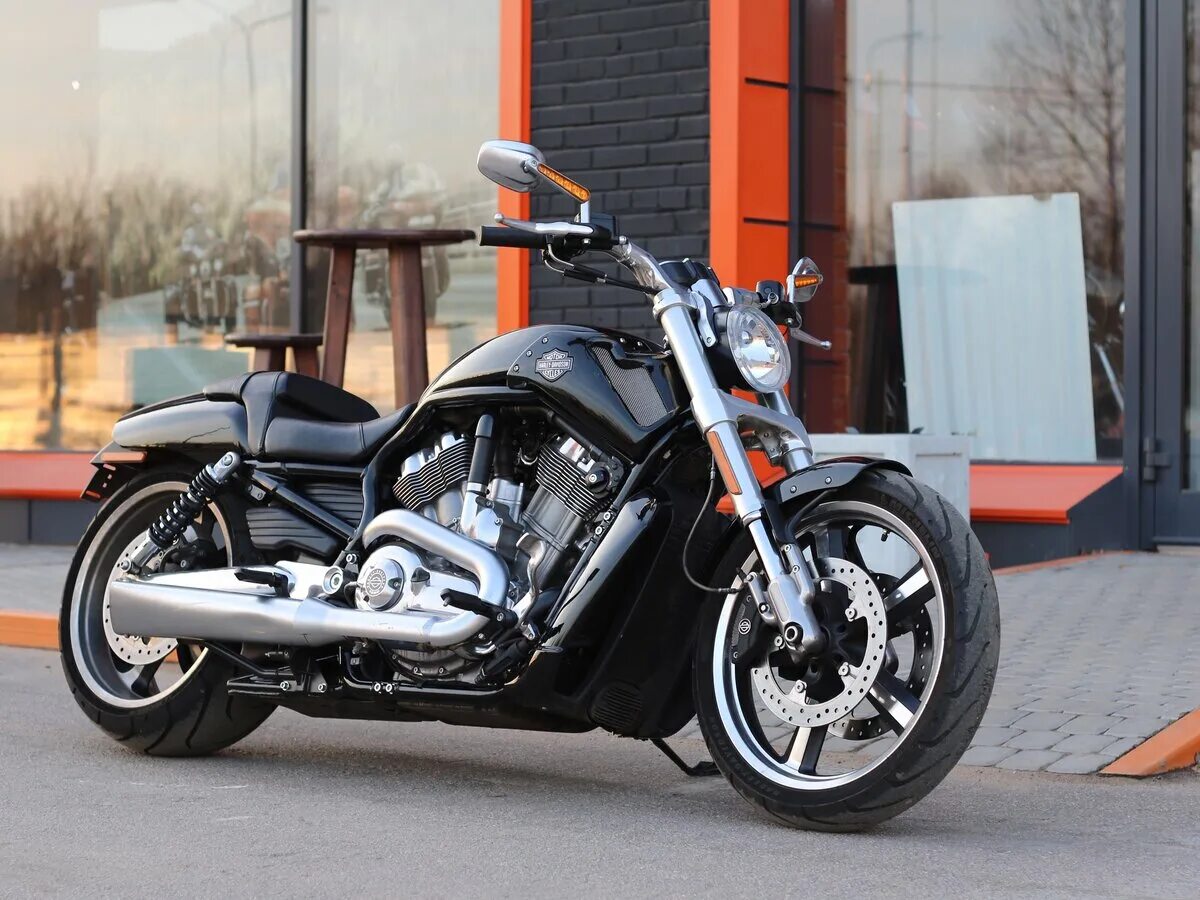Harley v road. Harley davidson v rod muscle. Чоппер харлей дэвидсон night rod. Харлей дэвидсон v-rod. Чоппер харлей дэвидсон night rod.