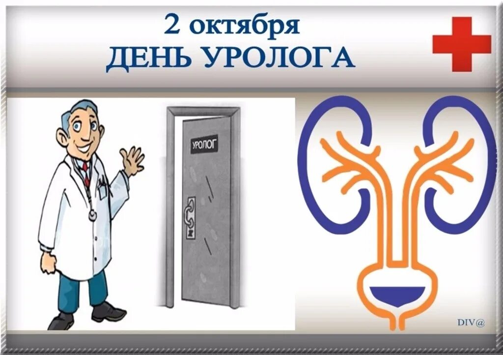 День урологии. День уролога. 2 Октября день уролога. Всемирный день уролога. С днем уролога открытки.