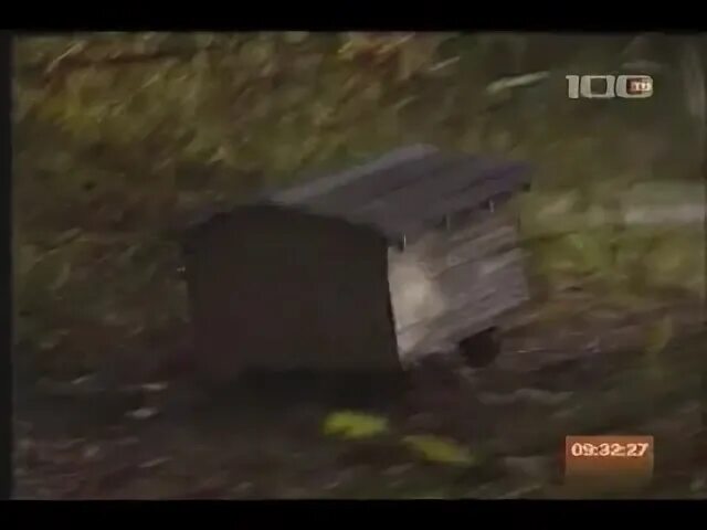 Шифр хомяк 12