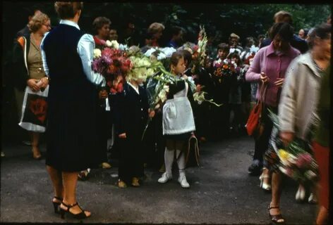 Сентябрь 1982 года