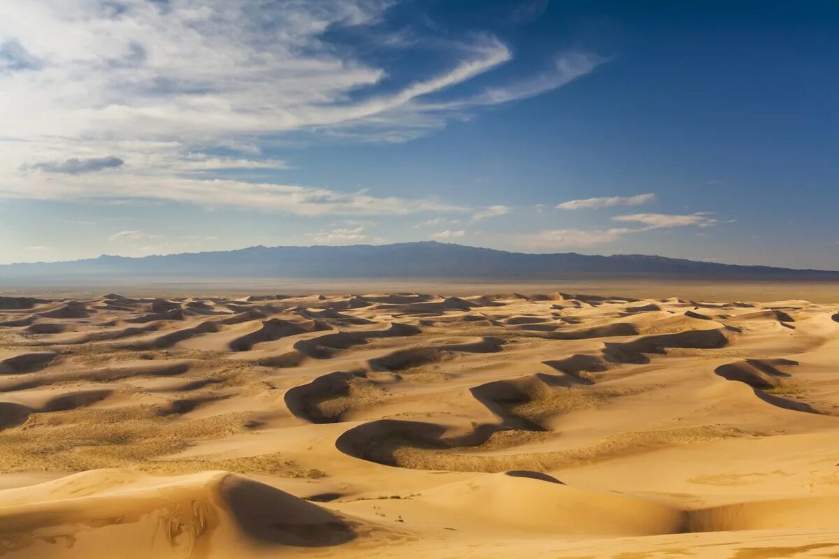 Самые большие 10 пустыни в мире. Монголия Гоби. Пески пустыни Гоби. Равнина Гоби. Оазис в Гоби Монголии.