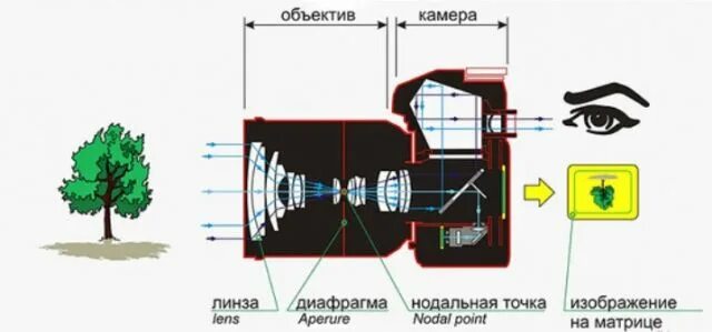 Какое изображение дает фотоаппарат. Нодальная точка объектива nikon таблица. оптическая схема фотоаппарата. беззеркальный фотоаппарат схема. конструкция фотообъектива.