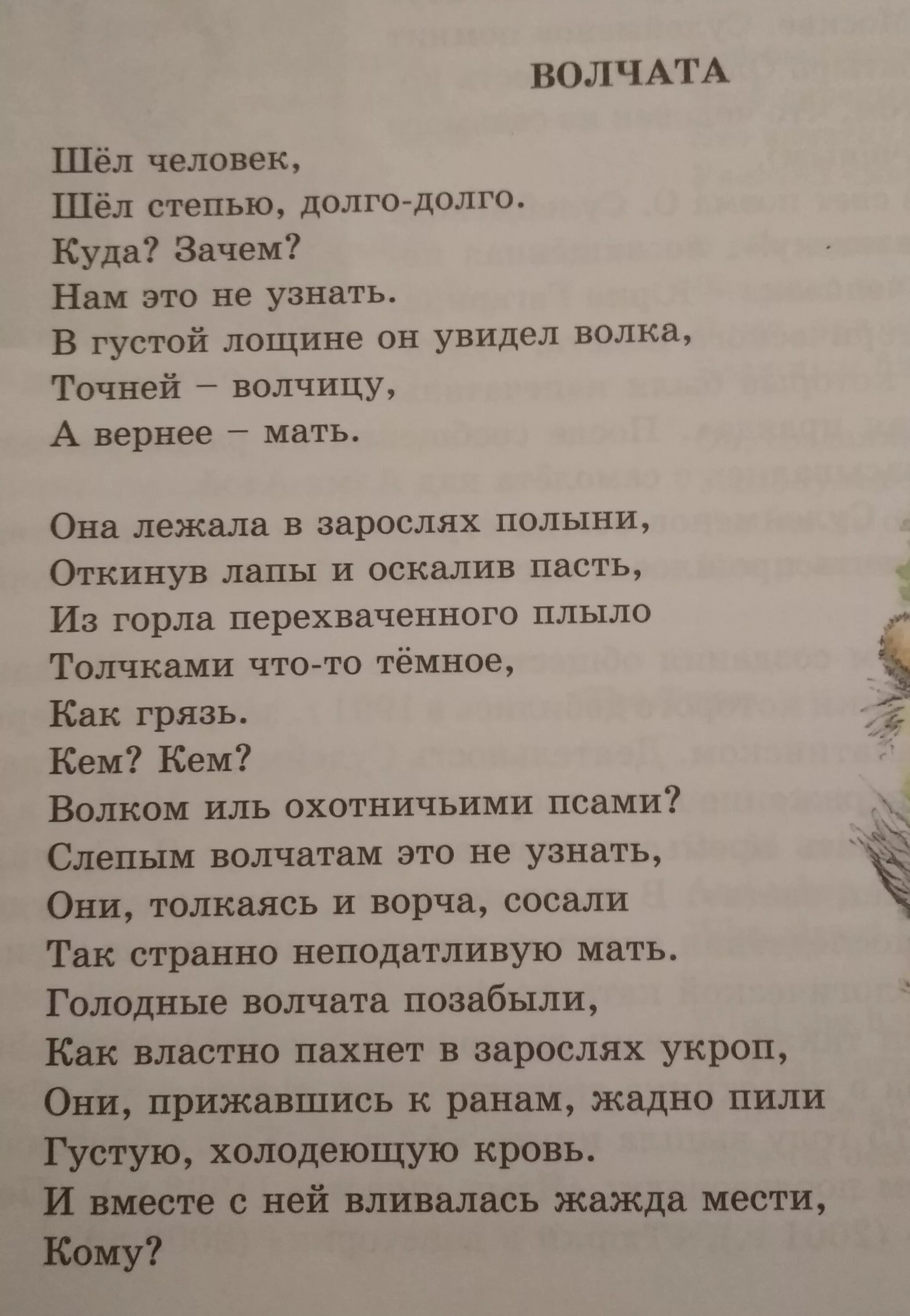 Каков идейный смысл стихотворения волчата. Олжас сулейменов волчата текст. стих про волчонка. шел человек шел степью долго-долго. стихотворение волчата о.сулейменов.