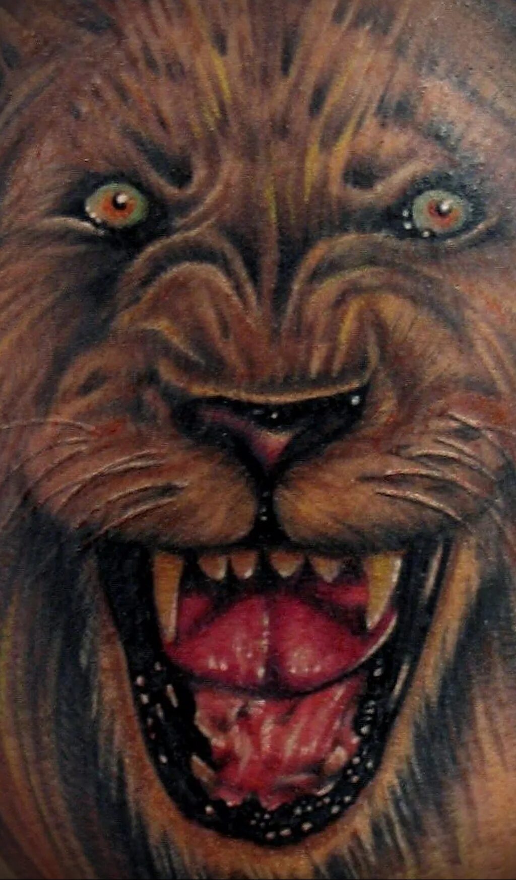 тату акула на ноге. тату оскал медведя на плече. тату акула. тату оскал тигра на плече. тату пасть значение.