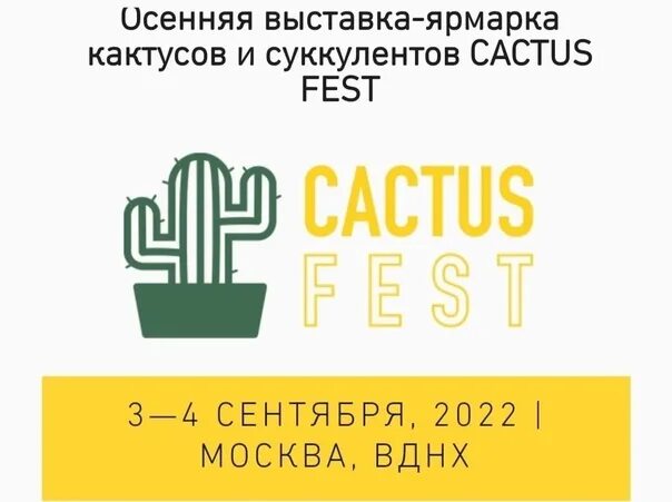 Сам фест 2025 программа. Кактус фест. кактус фест 2025.