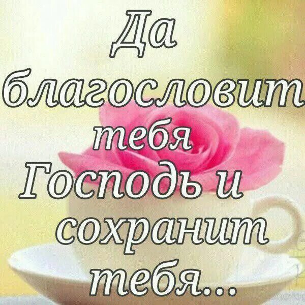 Благословляю вас добром. Благослови тебя Господь. Открытка да благословит тебя Господь. Христианские открытки с добрым утром. Да благо ловит тебя Господь.