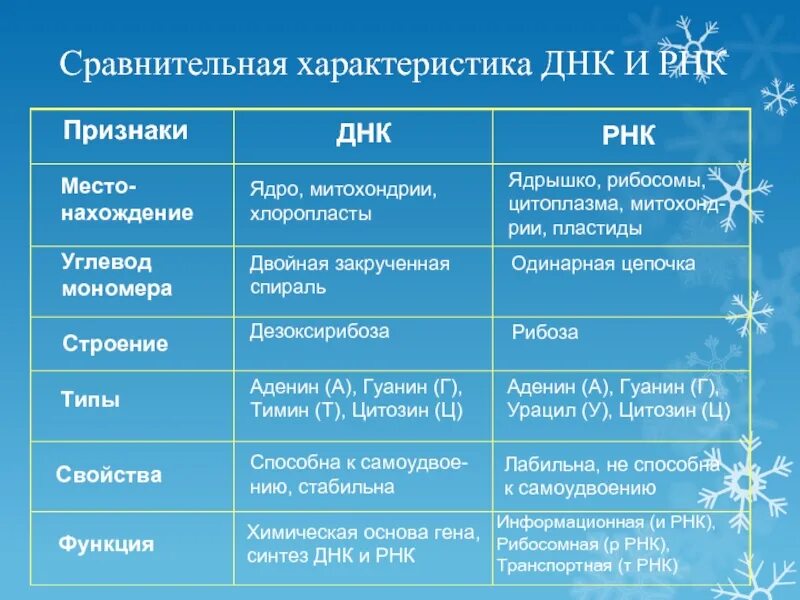 Признаки ДНК И РНК таблица. Строение и функции ДНК И РНК таблица. Строение ДНК И РНК таблица. Таблица по нуклеиновым кислотам РНК И ДНК.