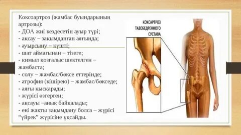 Жалаңаш шашты әйелдердің фотолары мен бейнелері