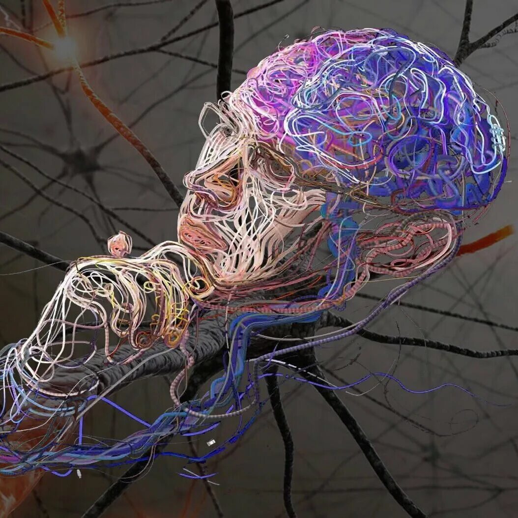 Нейронная сеть мозга. Нейронные связи головного мозга. Нейронные сети головного мозга. Мозг нейросети.