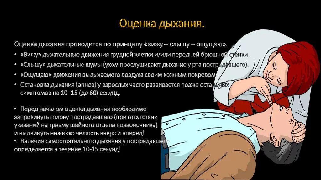 Частота пульса дыхания