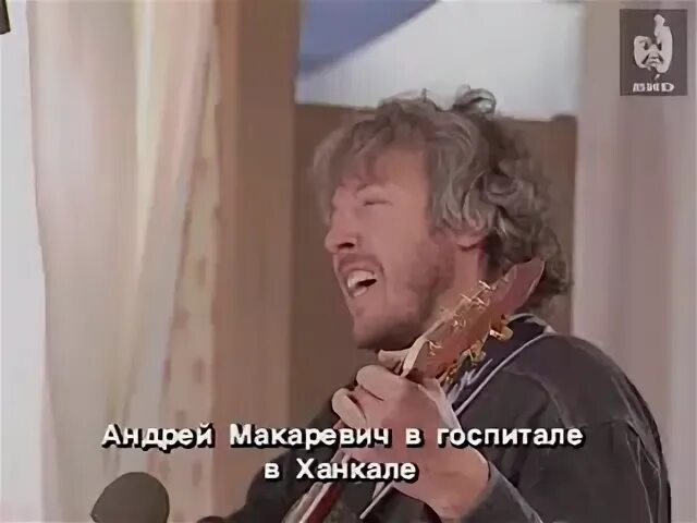 Макаревич я смысл жизни вижу