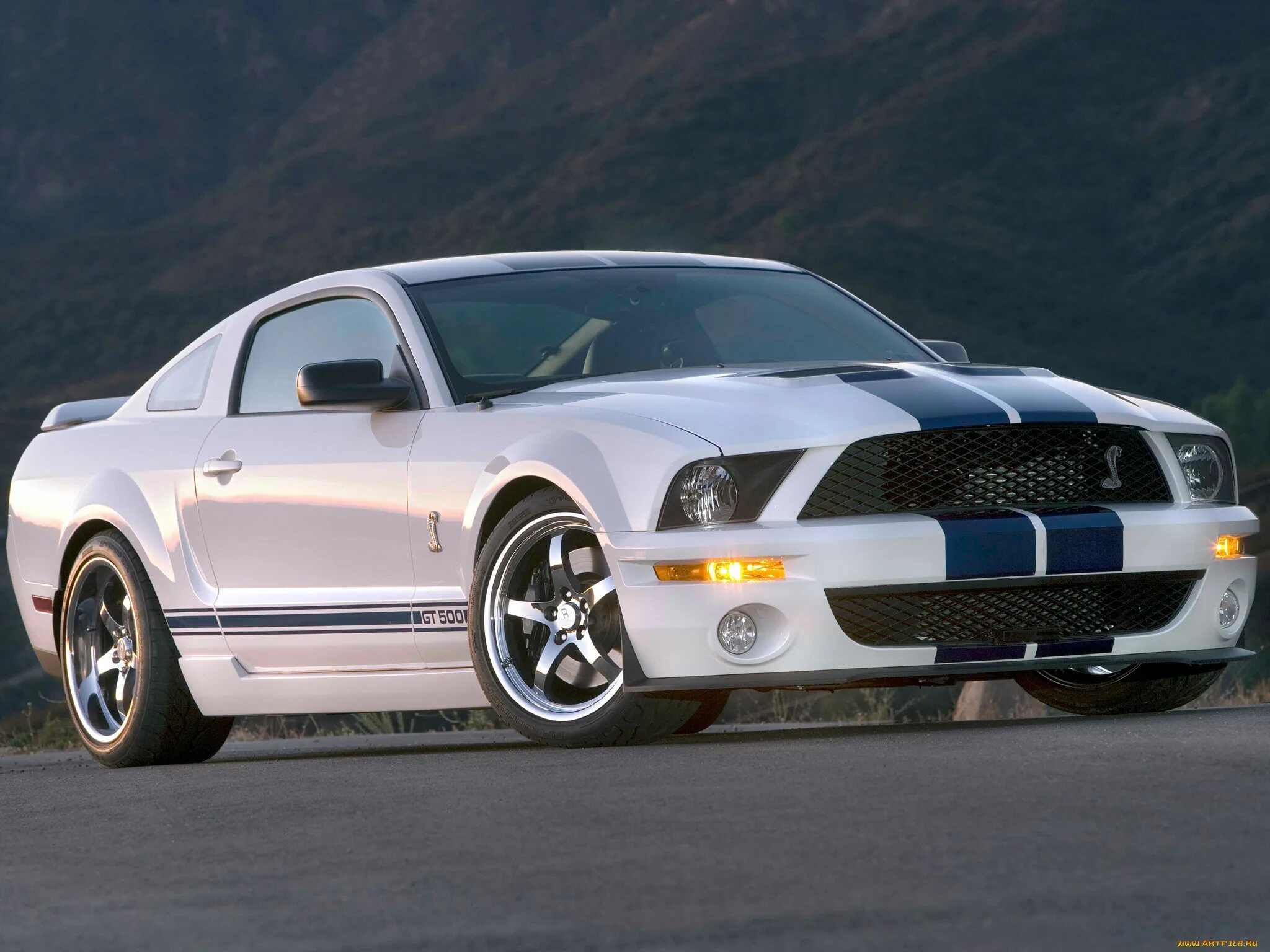 Мустанг объем. Форд Мустанг gt 2005. Ford Mustang Shelby gt500 2005. Ford Mustang gt 2005 Shelby. Форд Мустанг Шелби gt 500.