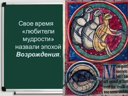 История мудрости