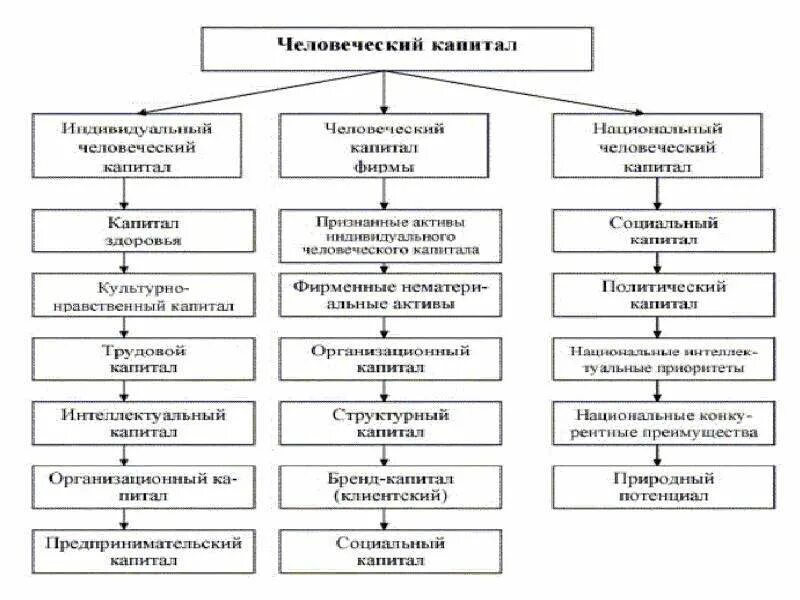 Специфика человеческих ресурсов. Человеческого капитал особенности. Классификация видов человеческого капитала. Инвестиции в человеческий капитал. Термин человеческая капитал.