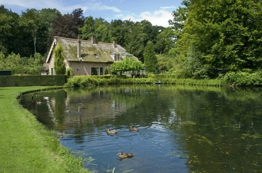 Хонка в абрамцево. Искусственное озеро на участке. Дом том пруд. Красивый дом с прудом. Пруд с утками в деревне.