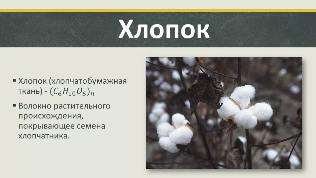 Волокна растительного происхождения. Хлопок происхождение волокна. Хлопки для презентации. Хлопок происхождение волокна. Хлопки для презентации.