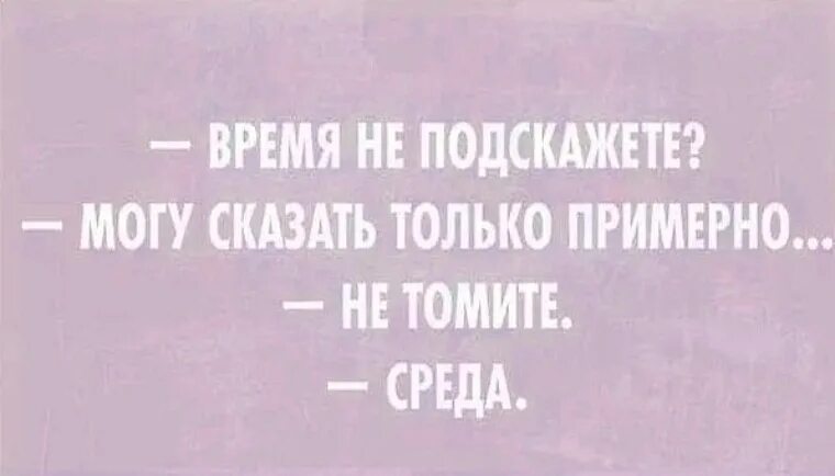 Цитаты про среду прикольные. Фразы про среду. Шутки про среду. Среда цитаты смешные.