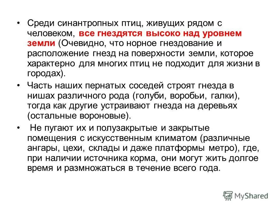 Синантропные птицы и животные это. Животные которые адаптируются. Синантропные животные презентация. Синантропные виды животных. Характеристика синантропных животных.