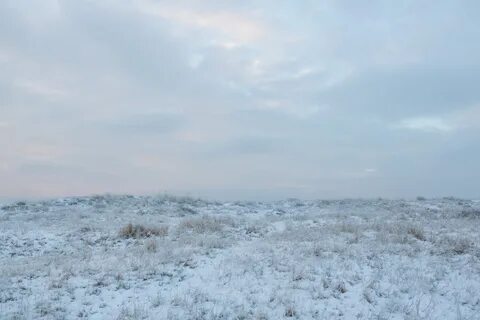 В тундре холодное лето
