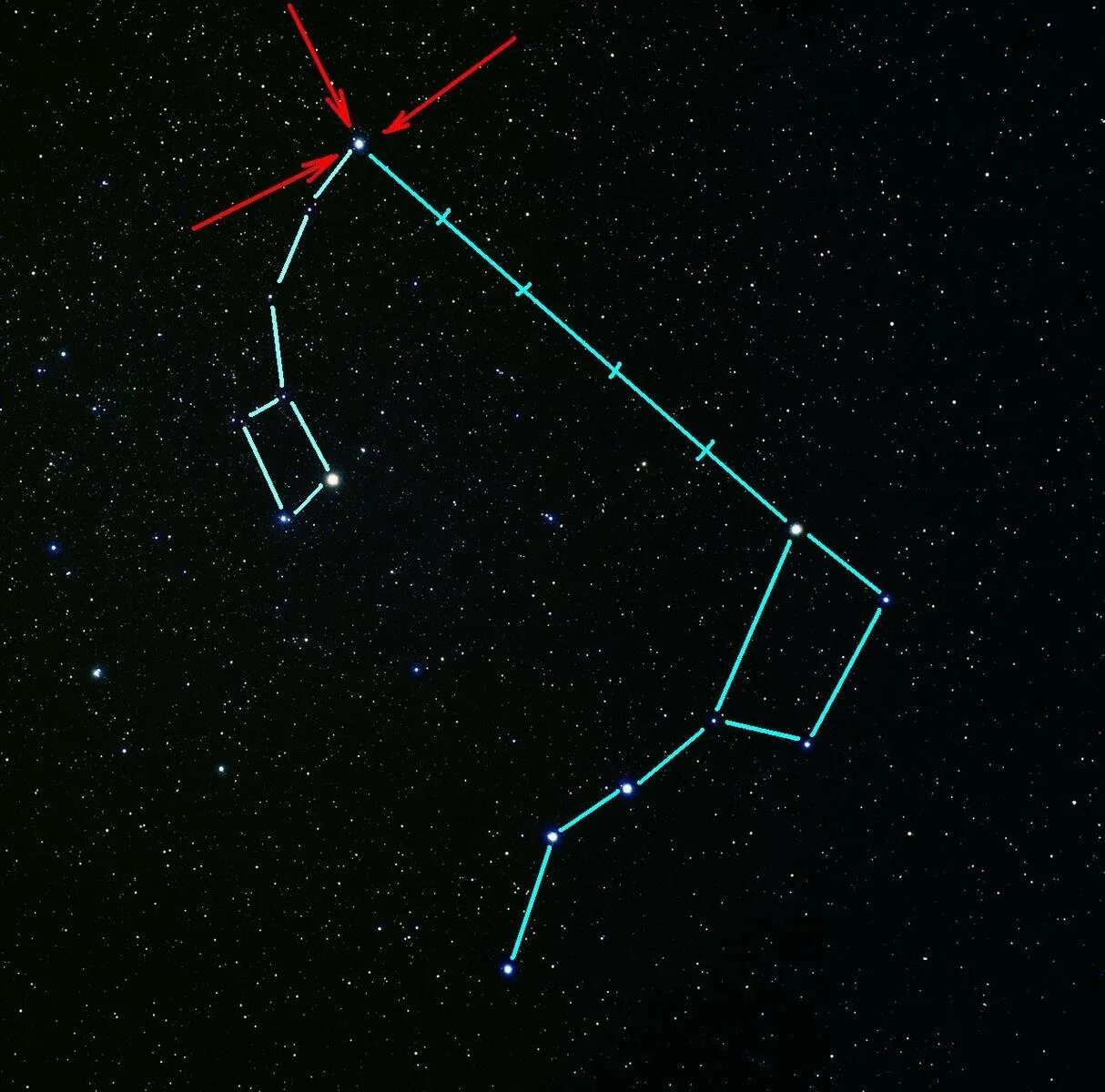 Небольшие созвездия. Созвездие ковш малой медведицы. Созвездие медведицы Полярная звезда. Большая Медведица и малая Медведица. Малая Медведица Созвездие звезды.