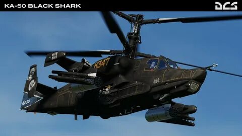 Black 50