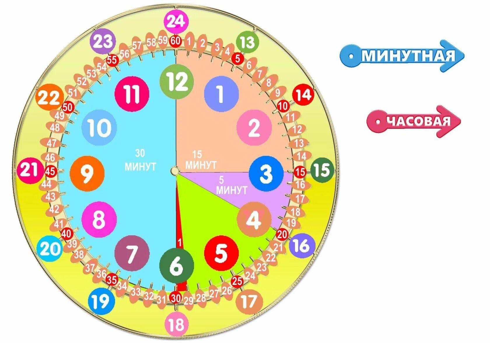 Минута часовой. Изучение часов для детей. Часы для изучения времени. Циферблат часов для детей для изучения времени. Макет часов для изучения времени.