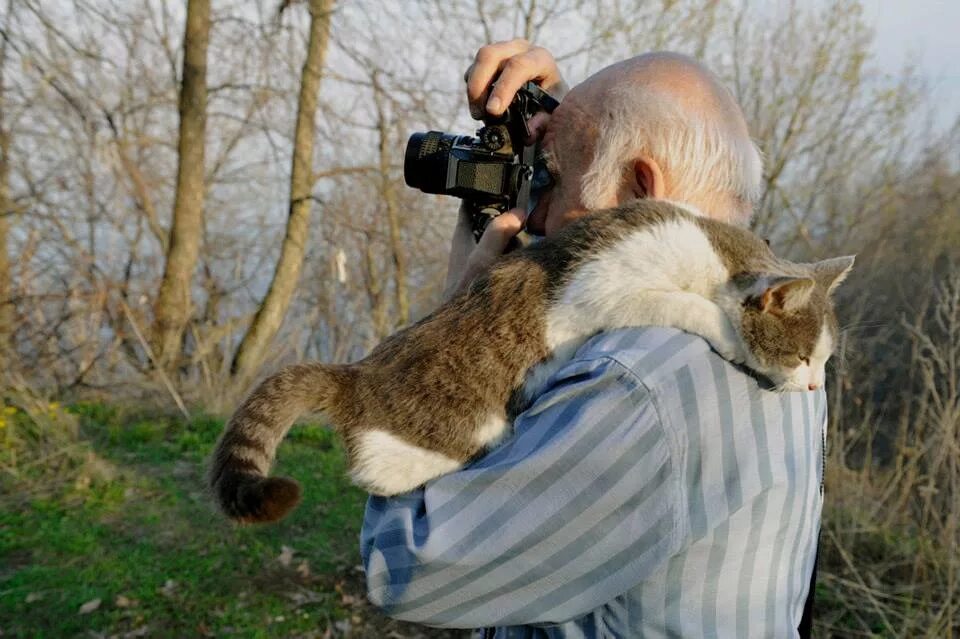 Разнообразие животных. События в мире животных. Животный мир разнообразен. Стив ирвин. События в мире животных.