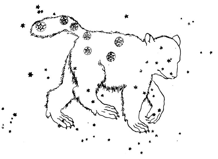 Раскраска созвездия. Созвездие малой медведицы по точкам. Созвездие медведицы большой и малой раскраска. Раскраска созвездия для детей. Раскраска Созвездие большая Медведица.