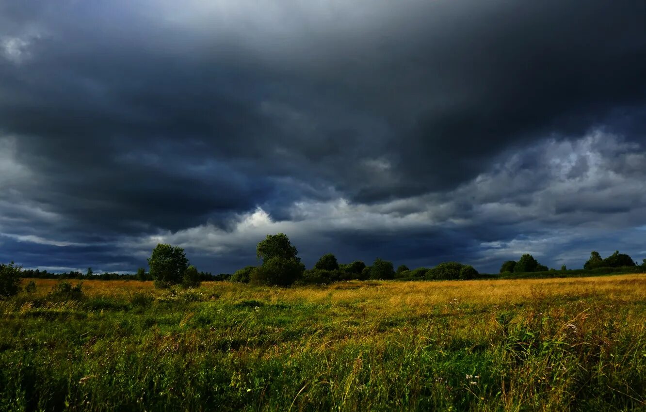 Состояние природы. Несмотря на то что спп. В степи было тихо пасмурно. В степи было тихо пасмурно несмотря на то что солнце поднялось. Несмотря на.