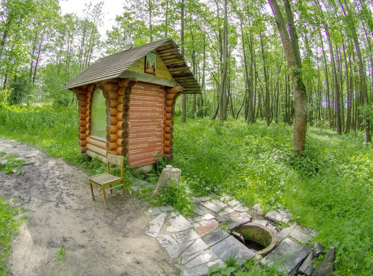 Святой источник золотая. Святой источник Казанской иконы Божией матери Колычево. Святой источник Казанской иконы Божией матери деревни Беклемишево. Родник, Святой источник иконы Божией матери «Знамение» село Чичково. Святой источник купель деревня Данилово.