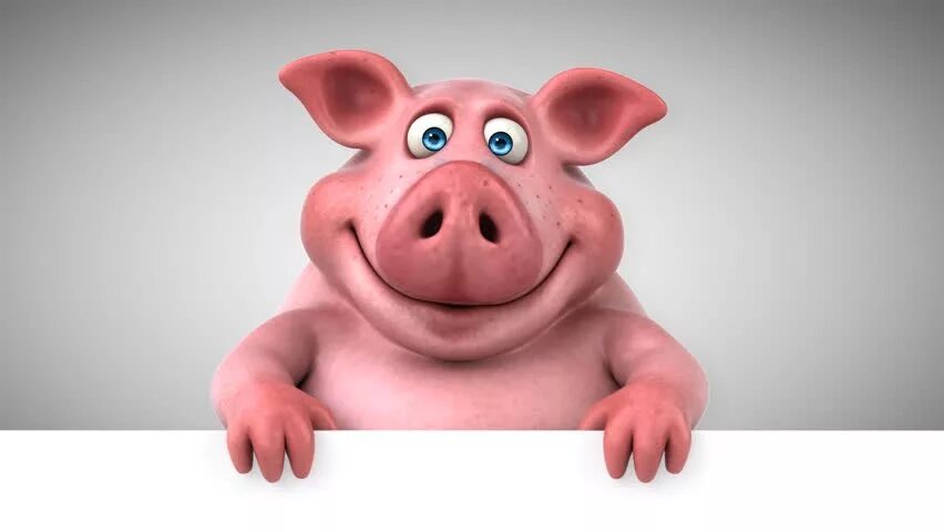 Свинка пеппа 3д модель. Пеппа в реальной жизни. Свинья-копилка. Моделька свиньи. Свинка пеппа 3d модель.