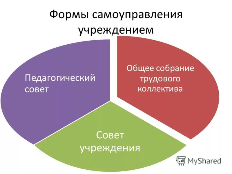 Формы самоуправления учреждения