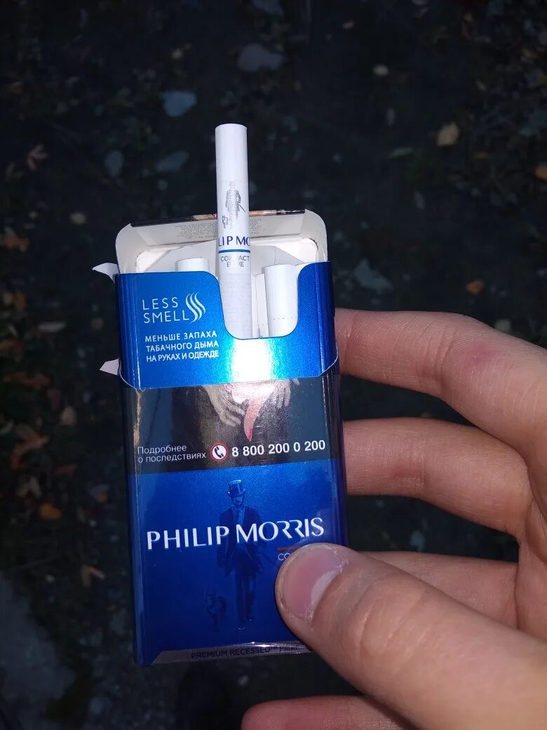 Сигареты philip morris compact. Филип морис компакт блю. сигареты филип моррис компакт. филип морис компакт синий. сигареты филип моррис компакт эксперт.