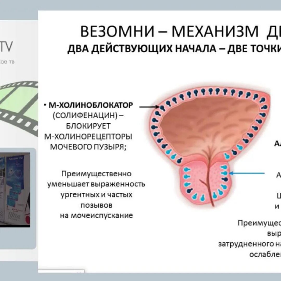 Афалаза при простатите. Тамсулозин механизм действия. Механизм действия тамсулозина. Афалаза механизм действия. Механизм действия тамсузолина.