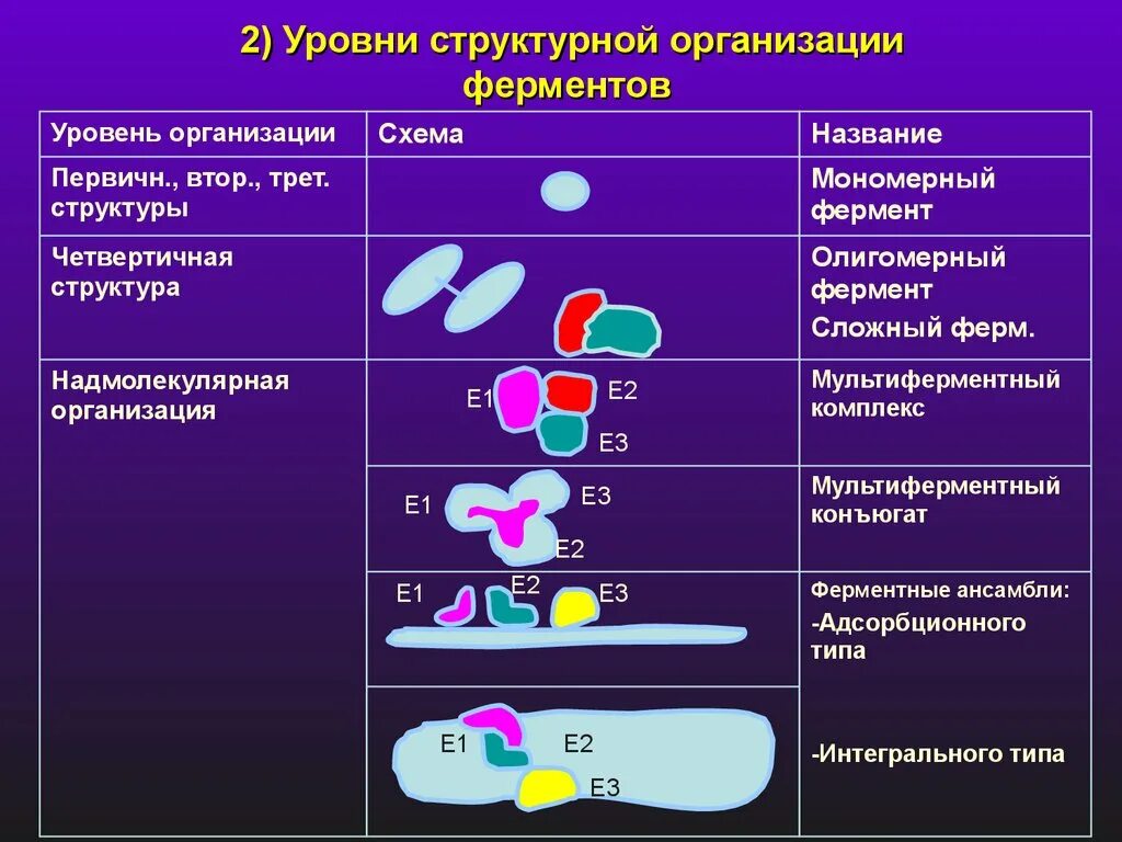 За что отвечают ферменты. Уровни структурной организации ферментов. Уровни организации структуры ферментов. Уровни организации структуры ферментов мультиферментные комплексы. Структура фермента, регуляция активности ферментов..