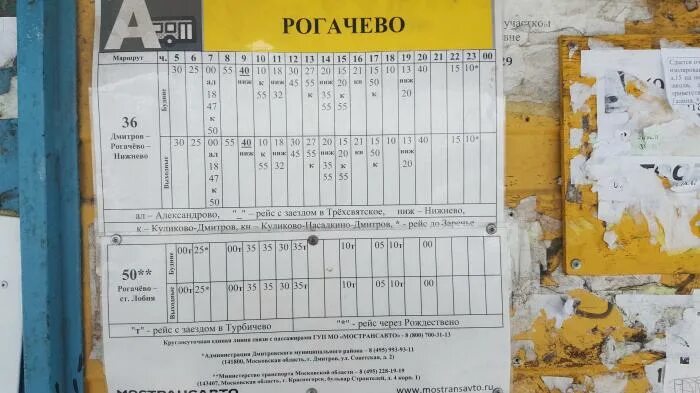 Расписание 29 автобус дмитров ближнее кузнецово. Расписание автобусов рыбное дмитров. Маршрутка дмитров поселок луговой 36 расписание. Расписание 29 автобус дмитров ближнее кузнецово. Расписание автобусов дмитров.