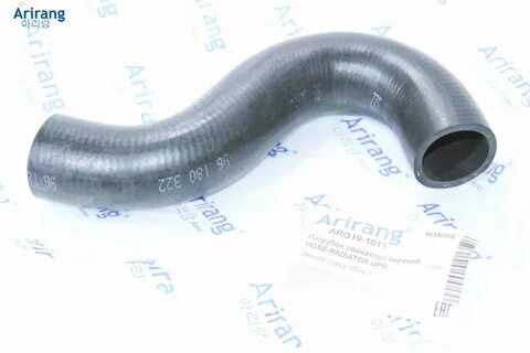 Arg 1 3