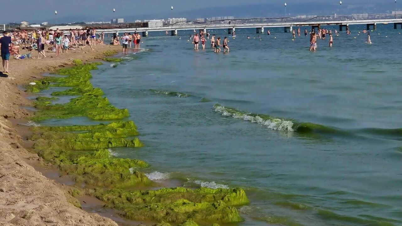 Центральный пляж Витязево адрес