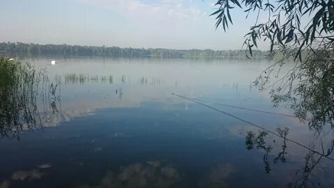 Истринское водохранилище форум