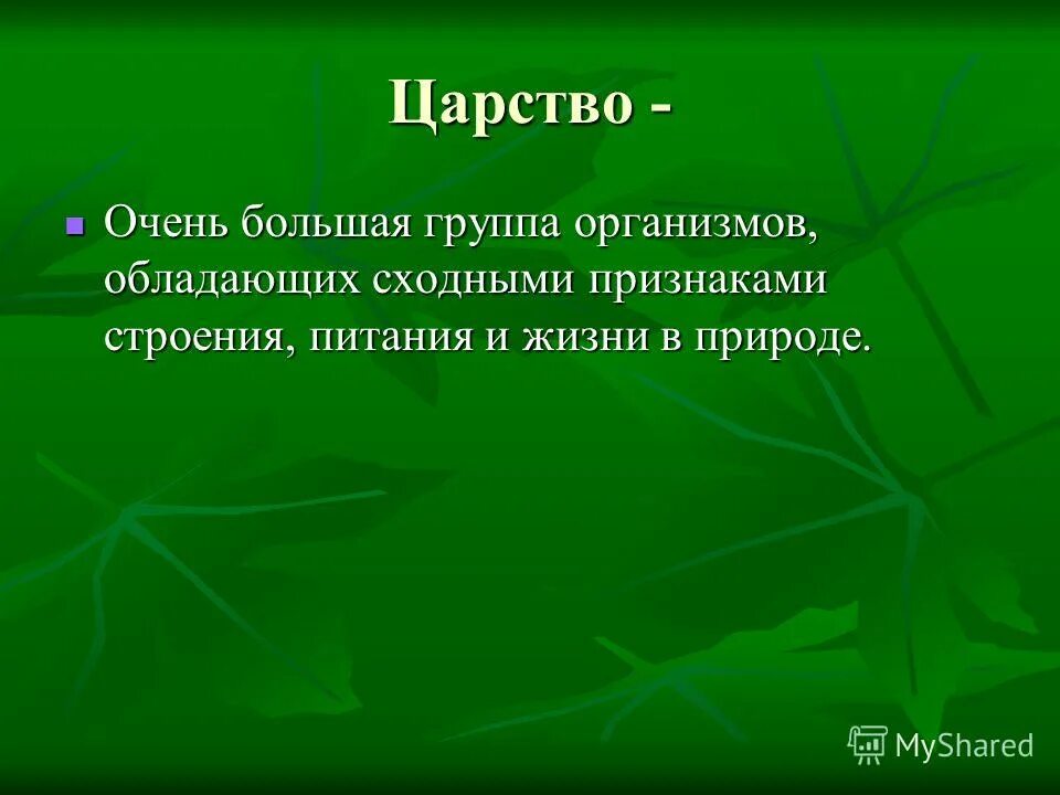 Биология изучает 5 класс ответы. Биология изучает 5 класс ответы