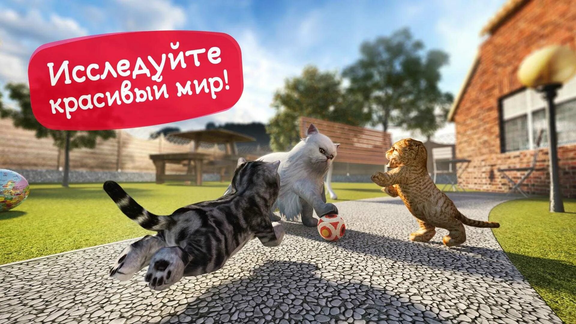 Можно игру кошку