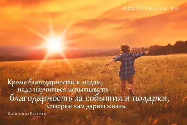 Что значит благодарный человек. Благодарность. благодарность человеку. благодарный человек. человеческая благодарность.