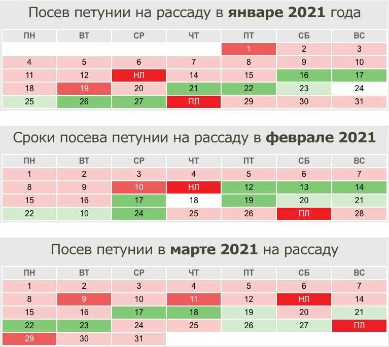 Календарь посадок томатов и перца. График посева рассады. календарь посадки благоприятных дней петунии. благоприятные дни для посадки на рассаду петунии. благоприятные дни для посева цветов в январе.