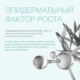 Фактор роста открытие