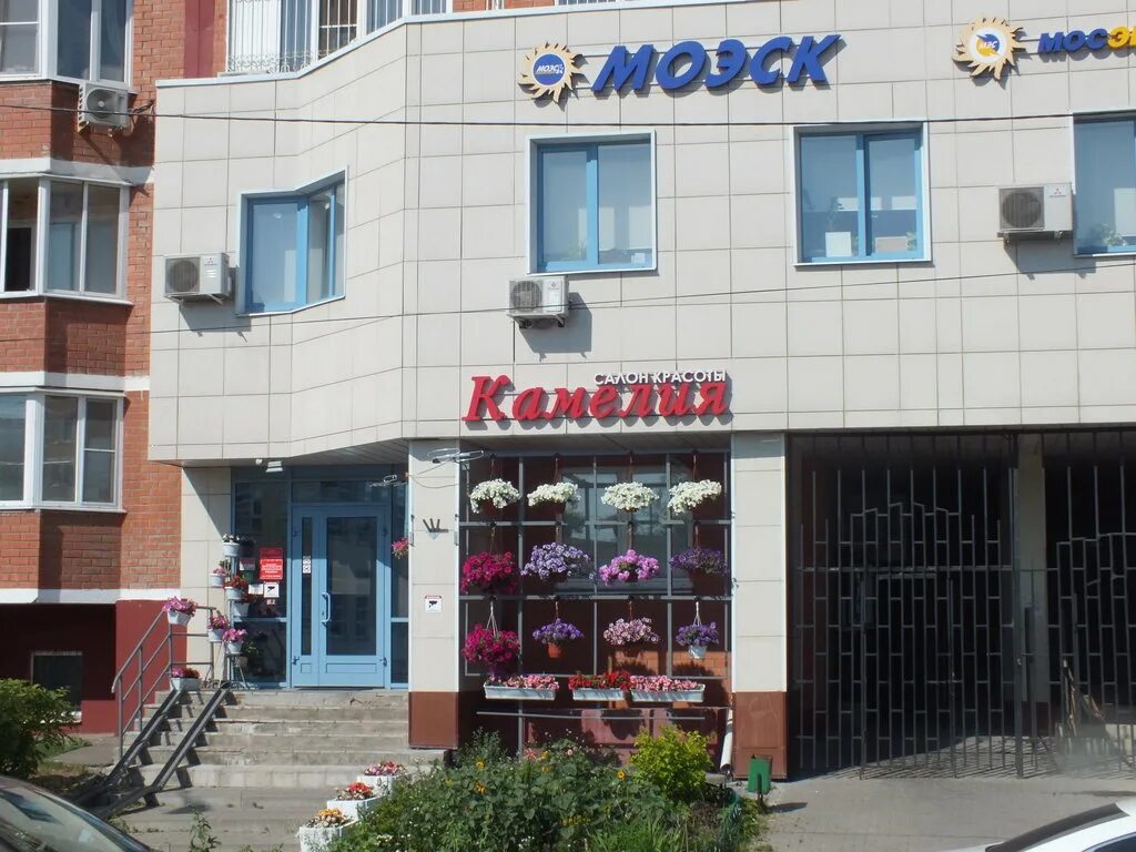 Клиника целитель хасавюрт. Банкетный зал камелия тамбов чкалова. Камелия хасавюрт. Магазин камелия краснотурьинск. Салон камелия мытищи.
