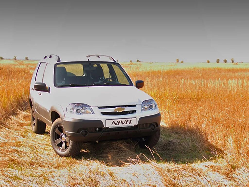 Chevrolet Niva. Нива Шевроле Винтер эдишн. Chevrolet Niva 2004. Niva Chevrolet GM. Нивы шеви б у