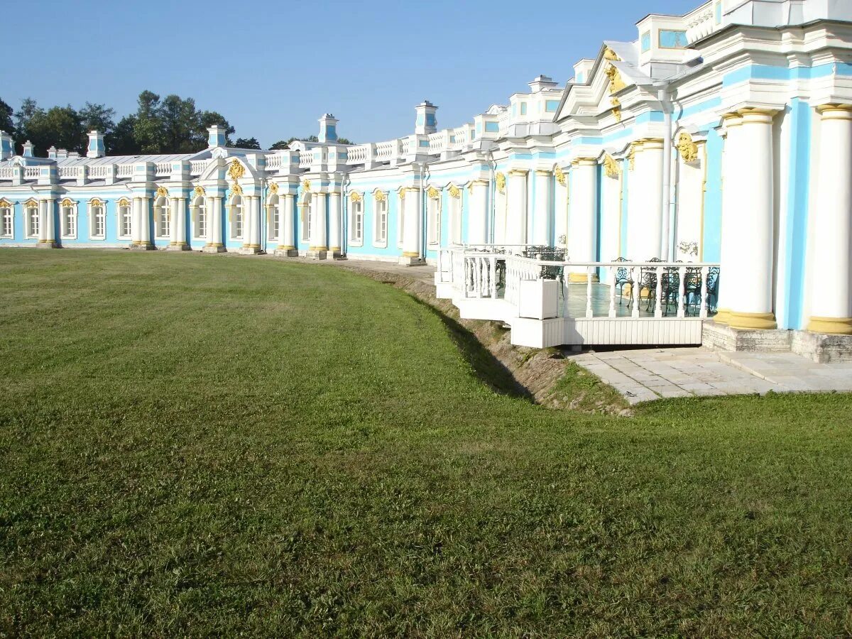 Жители города пушкина